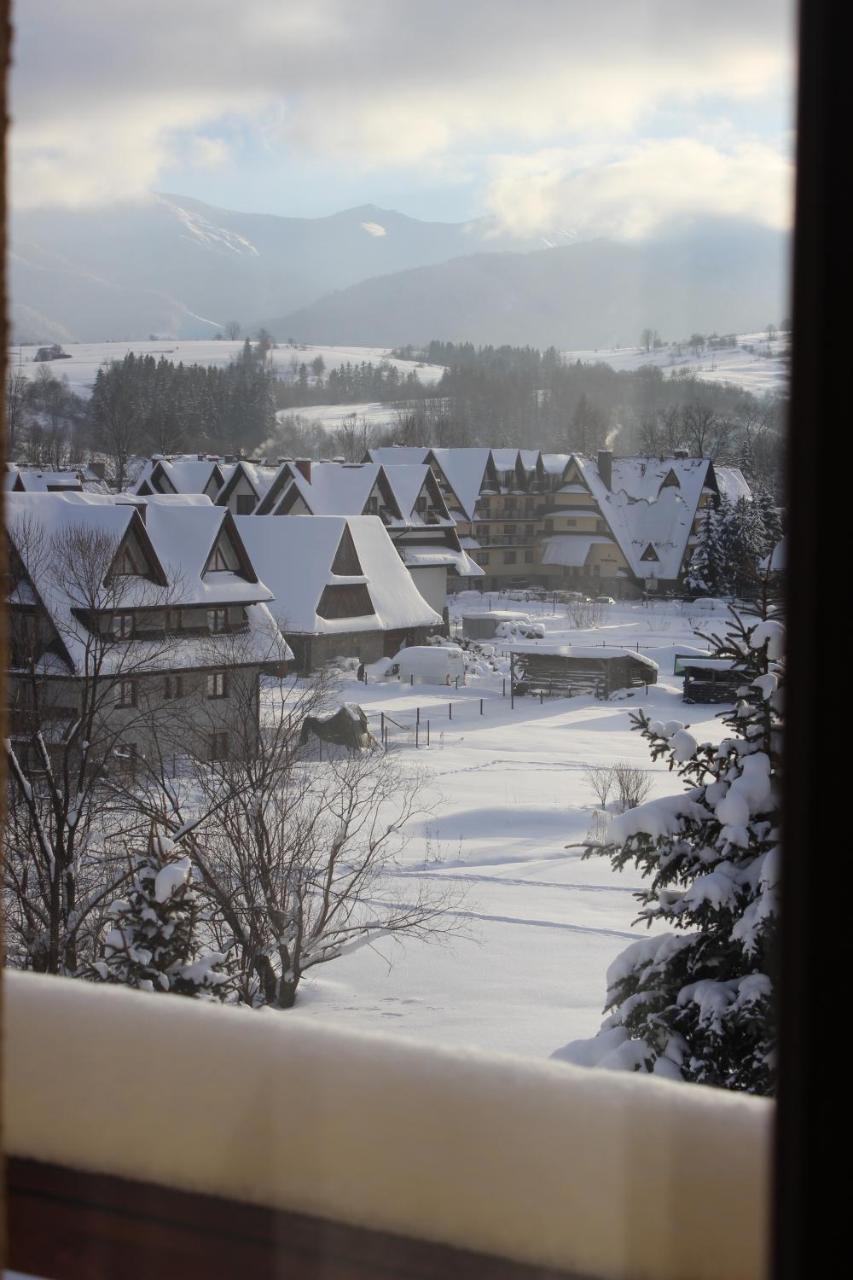 Willa Pod Zielonym Wierchem Zakopane Esterno foto