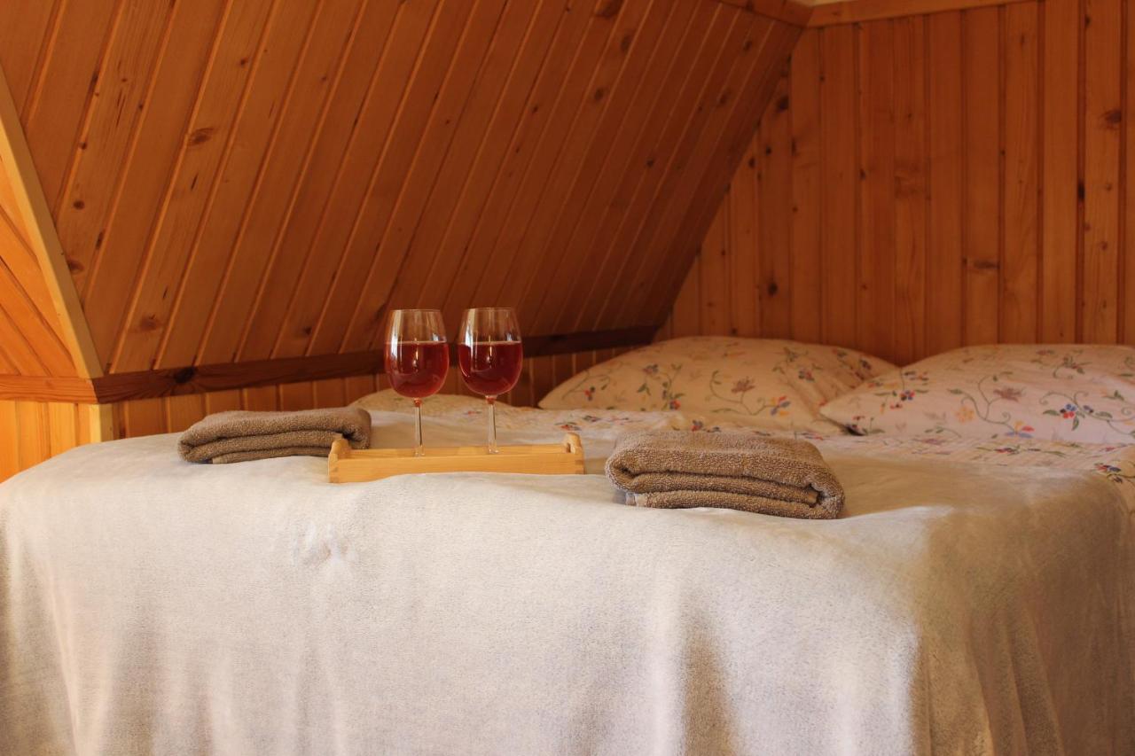 Willa Pod Zielonym Wierchem Zakopane Esterno foto